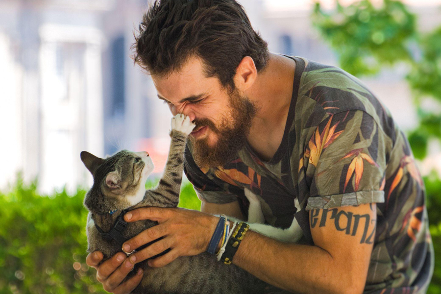 Young Man Playing With A Cat In Public Park 